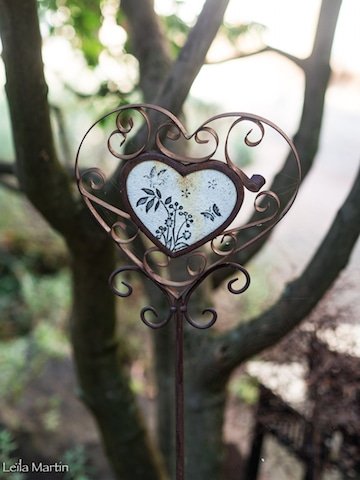Image d'un coeur à la Cour de Lise à Willgottheim
