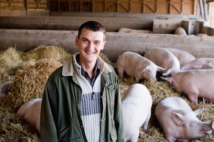 Photo de Thierry Schweitzer, paysan, éleveur de porc